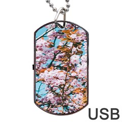 Nature Beautiful Rainbow Dog Tag USB Flash (Two Sides)