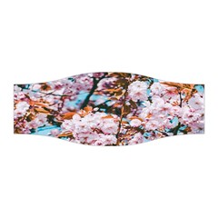 Nature Beautiful Rainbow Stretchable Headband