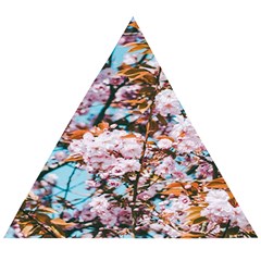 Nature Beautiful Rainbow Wooden Puzzle Triangle