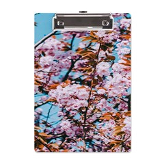 Nature Beautiful Rainbow A5 Acrylic Clipboard