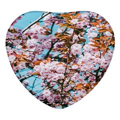 Nature Beautiful Rainbow Heart Glass Fridge Magnet (4 pack)