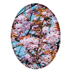 Nature Beautiful Rainbow Oval Glass Fridge Magnet (4 Pack)