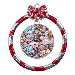 Nature Beautiful Rainbow Metal Red Ribbon Round Ornament by artworkshop