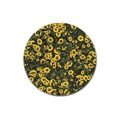 Sunflowers Yellow Flowers Flowers Digital Drawing Magnet 3  (round) by Simbadda