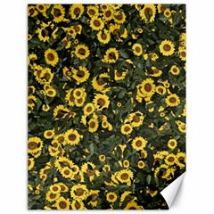 Sunflowers Yellow Flowers Flowers Digital Drawing Canvas 18  X 24  by Simbadda