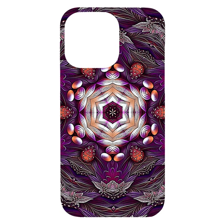 Rosette Kaleidoscope Mosaic Abstract Background Art iPhone 14 Pro Max Black UV Print Case