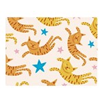 Cute Cats Seamless Pattern With Stars Funny Drawing Kittens Two Sides Premium Plush Fleece Blanket (Mini) 35 x27  Blanket Front