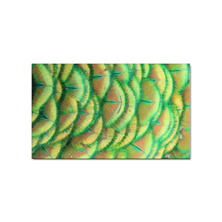 Beautiful Peacock Sticker (Rectangular)