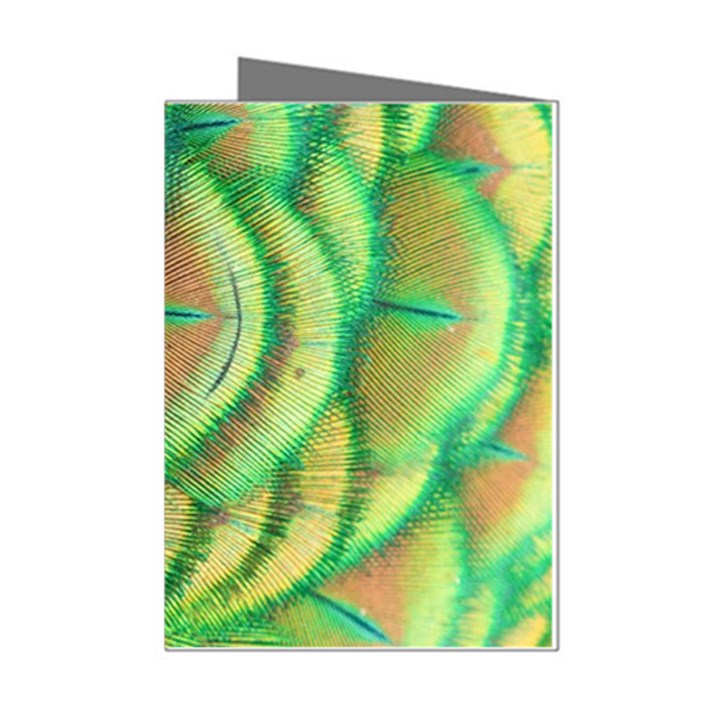 Beautiful Peacock Mini Greeting Cards (Pkg of 8)