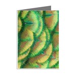 Beautiful Peacock Mini Greeting Cards (Pkg of 8) Right