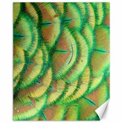 Beautiful Peacock Canvas 16  X 20  by Simbadda