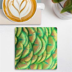 Beautiful Peacock Uv Print Square Tile Coaster  by Simbadda