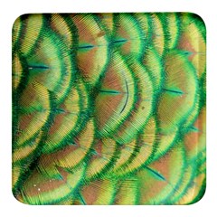 Beautiful Peacock Square Glass Fridge Magnet (4 Pack)