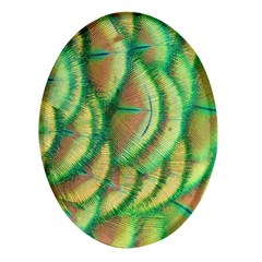 Beautiful Peacock Oval Glass Fridge Magnet (4 Pack)