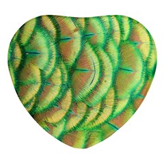 Beautiful Peacock Heart Glass Fridge Magnet (4 Pack)