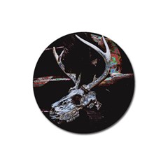 Deer Skull Magnet 3  (round) by MonfreyCavalier