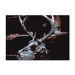 Deer Skull Sticker A4 (10 Pack) by MonfreyCavalier