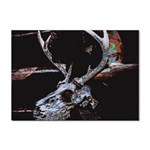 Deer Skull Sticker A4 (10 pack) Front