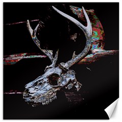 Deer Skull Canvas 12  X 12  by MonfreyCavalier