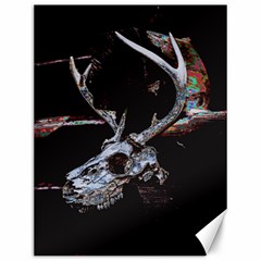 Deer Skull Canvas 12  X 16  by MonfreyCavalier