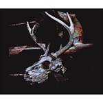 Deer Skull Deluxe Canvas 14  x 11  (Stretched) 14  x 11  x 1.5  Stretched Canvas