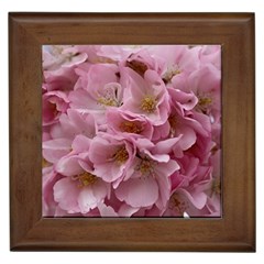 Cherry-blossoms Framed Tile