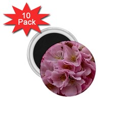 Cherry-blossoms 1 75  Magnets (10 Pack)  by Excel