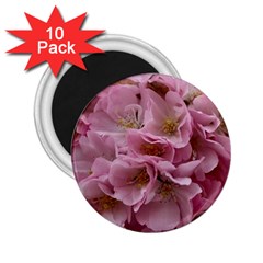 Cherry-blossoms 2 25  Magnets (10 Pack) 