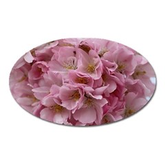 Cherry-blossoms Oval Magnet