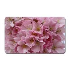 Cherry-blossoms Magnet (rectangular)