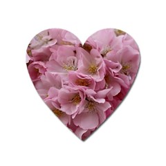 Cherry-blossoms Heart Magnet