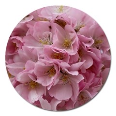 Cherry-blossoms Magnet 5  (round)