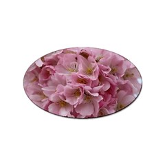 Cherry-blossoms Sticker Oval (10 Pack)