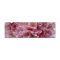 Cherry-blossoms Sticker Bumper (10 Pack) by Excel