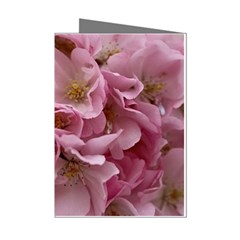 Cherry-blossoms Mini Greeting Cards (pkg Of 8)