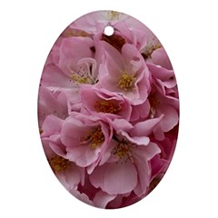 Cherry-blossoms Oval Ornament (two Sides) by Excel