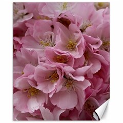 Cherry-blossoms Canvas 16  X 20  by Excel