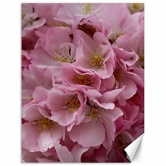 Cherry-blossoms Canvas 18  X 24  by Excel