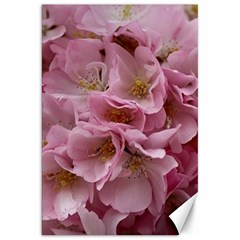 Cherry-blossoms Canvas 20  X 30  by Excel