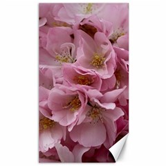 Cherry-blossoms Canvas 40  X 72  by Excel