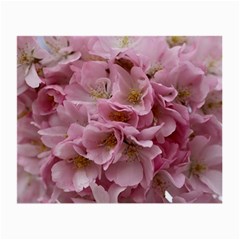 Cherry-blossoms Small Glasses Cloth (2 Sides)