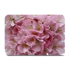 Cherry-blossoms Plate Mats by Excel