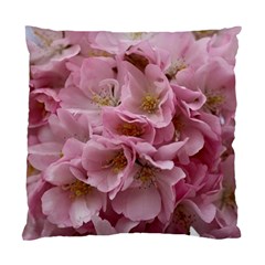 Cherry-blossoms Standard Cushion Case (two Sides)