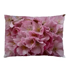 Cherry-blossoms Pillow Case