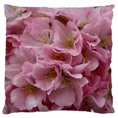 Cherry-blossoms Large Cushion Case (two Sides)