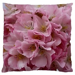 Cherry-blossoms Large Premium Plush Fleece Cushion Case (two Sides)