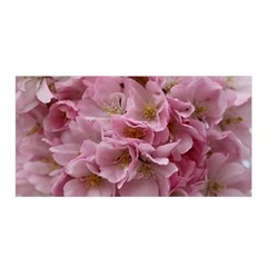 Cherry-blossoms Satin Wrap 35  X 70 