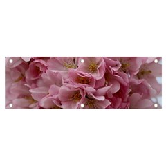 Cherry-blossoms Banner And Sign 6  X 2 