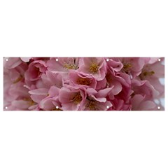 Cherry-blossoms Banner And Sign 9  X 3  by Excel