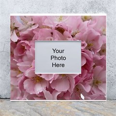 Cherry-blossoms White Wall Photo Frame 5  X 7  by Excel